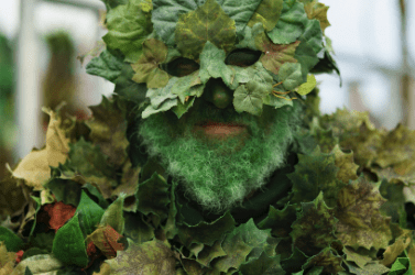 Experience Ilfracombe: A Beautiful Journey Through the Seasons