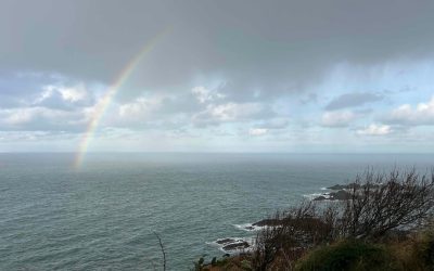 Things to Do in Ilfracombe in the Rain : Indoor Activities to Keep You Entertained